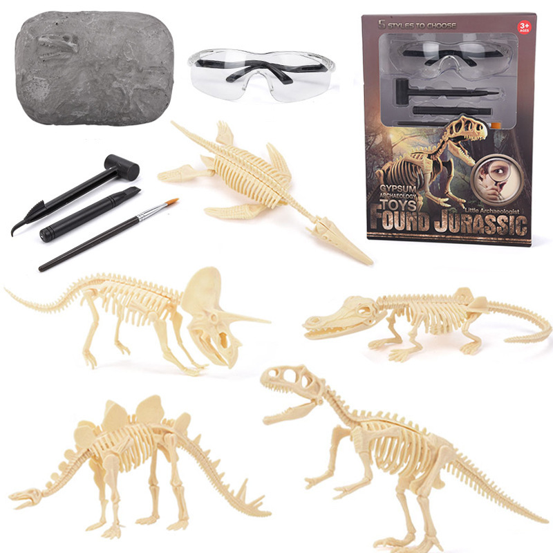 Model Kit Dinosaur - Kit de Excavación de Fósiles de